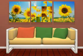 Amajeto Sunflowers
