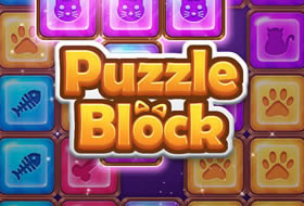 Puzzle Block