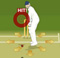 Indian Player League Cricket 2012