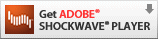 Get Adobe Shockwave Player