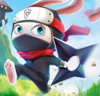 Ninja Rabbit