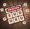 Amazing Sudoku