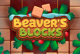 Beaver's Blocks