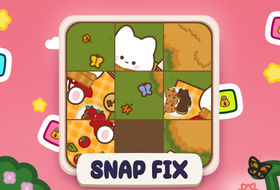 Snap Fix