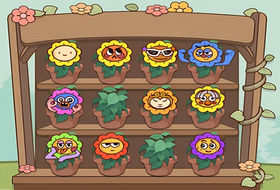 Flower Collection